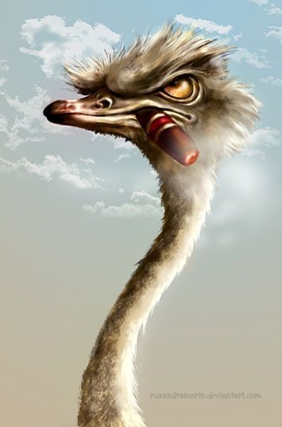 Страус мультик
