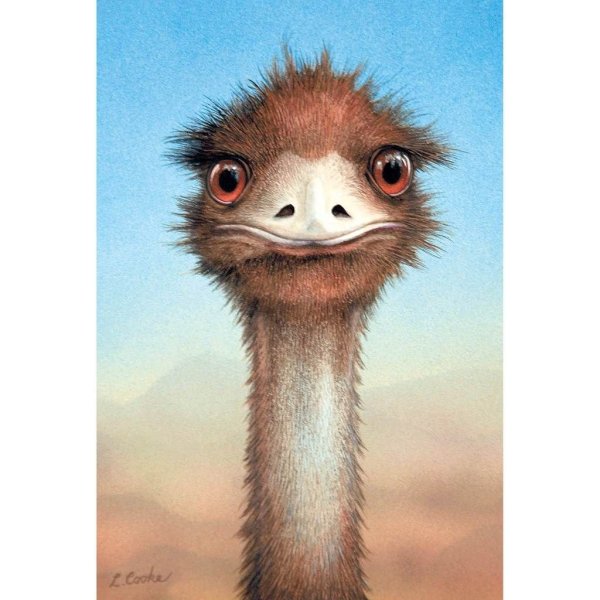 Страус эму арт