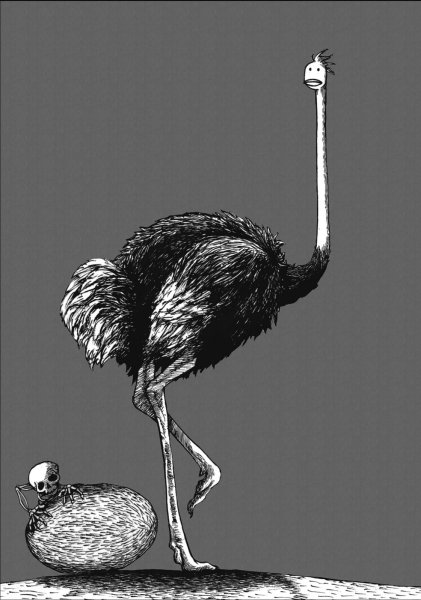 Страусенок арт