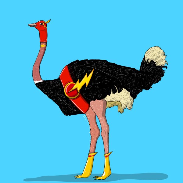 Страус Супергерой