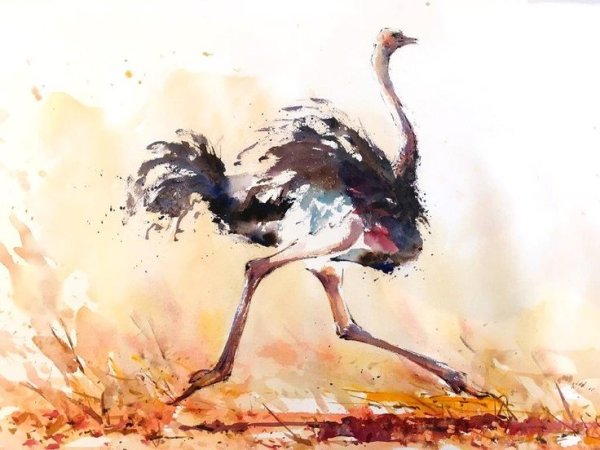 Акварель страусенок