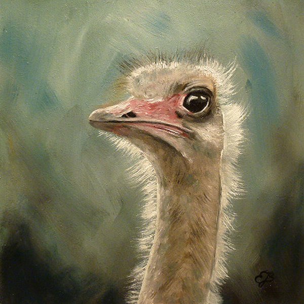 Картина Страусы