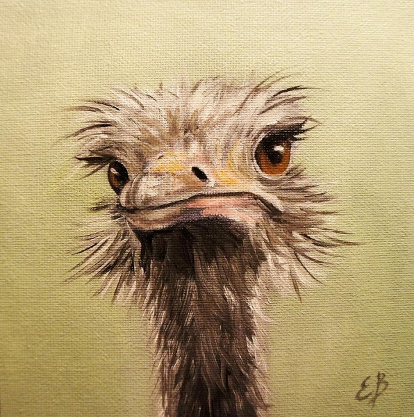 Страус арты