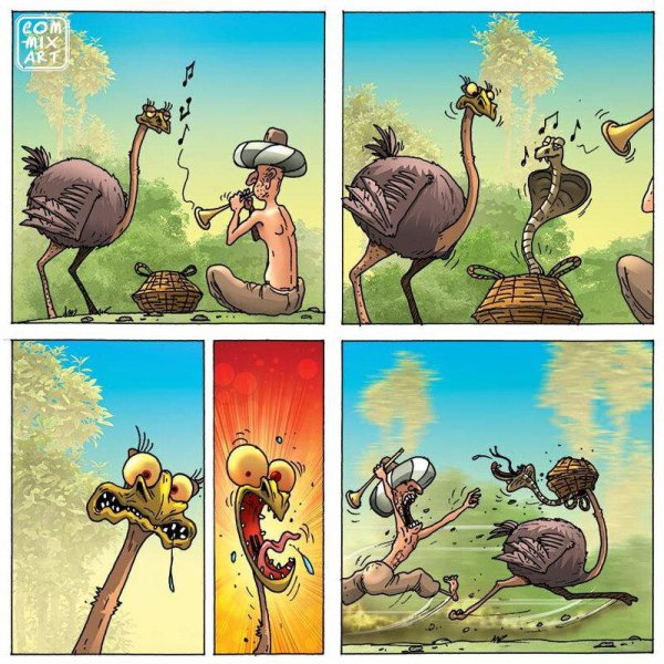 Комикс про страуса