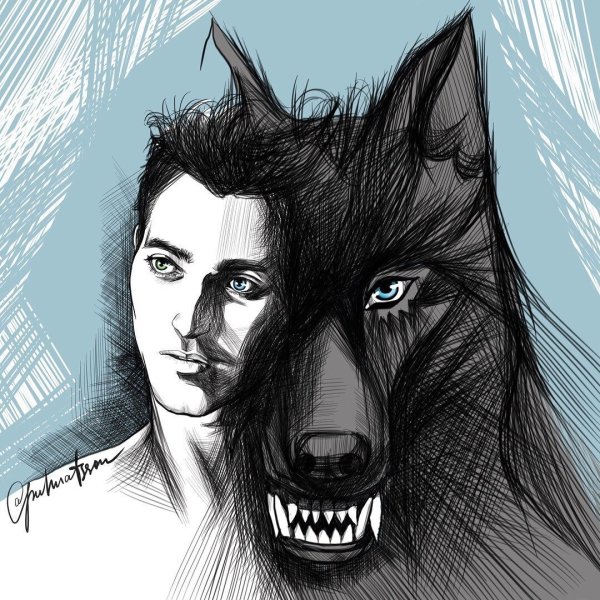 Волчонок Дерек Хейл волк