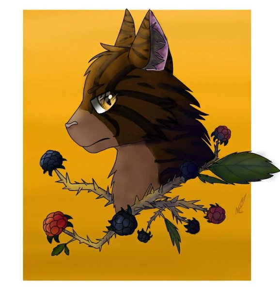 Коты Воители язавичая звезда