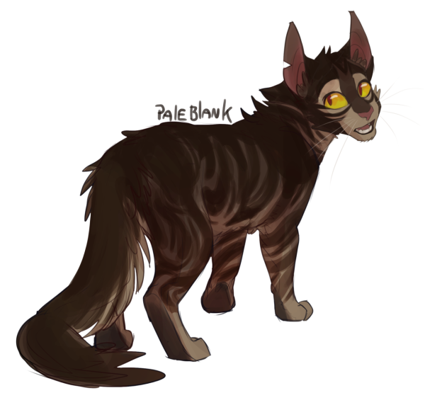 Коты Воители язавичая звезда