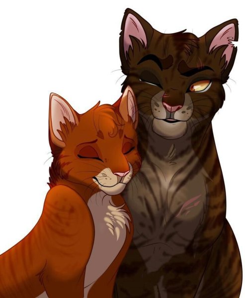 Коты Воители Ежевичная звезда и белка