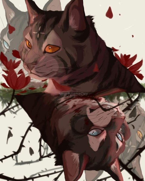 Коты Воители Ежевичная звезда