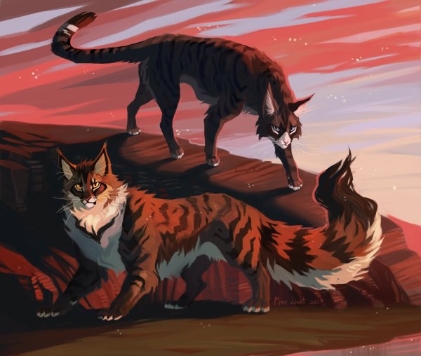 Коты Воители Коршун