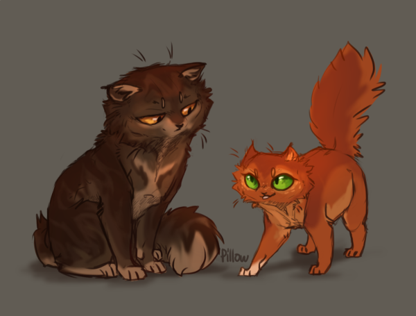 Коты Воители Ежевичная звезда и Огнезвёзд