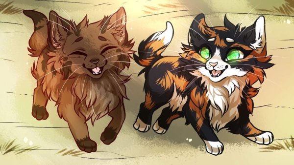 Коты Воители ежевика и Коршун