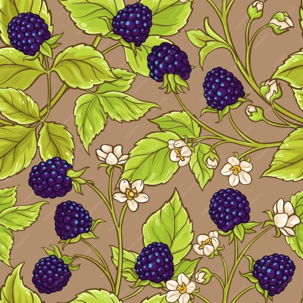 Паттерн ежевика вектор