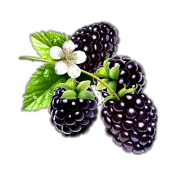 Лазурит ежевика