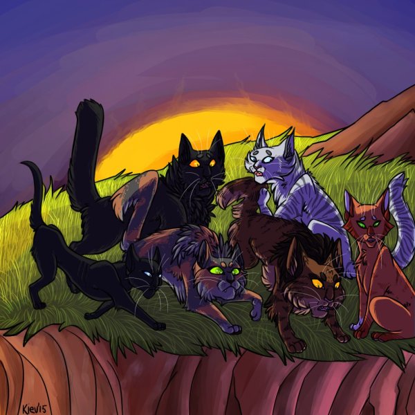 Коты Воители ежевика и Рыжинка