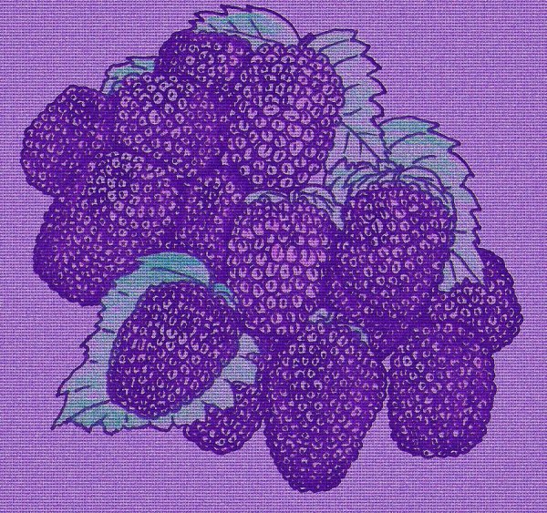 Поп арт ежевика