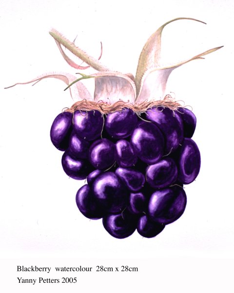 Ежевика персонаж