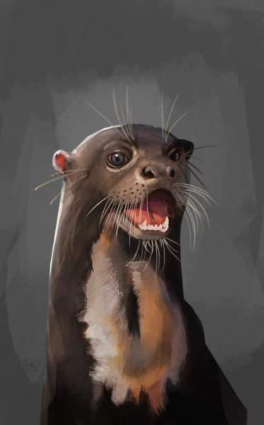 Наоми Лорд выдра