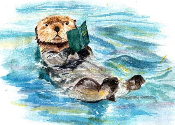 Выдра иллюстрация