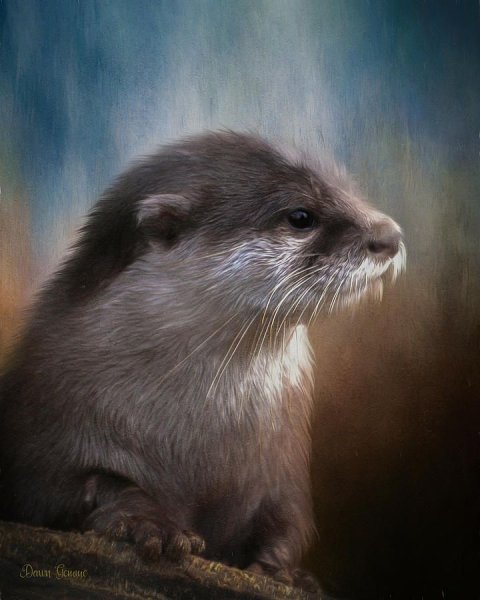 Выдра арт