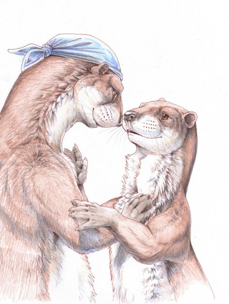 Лиса и выдра