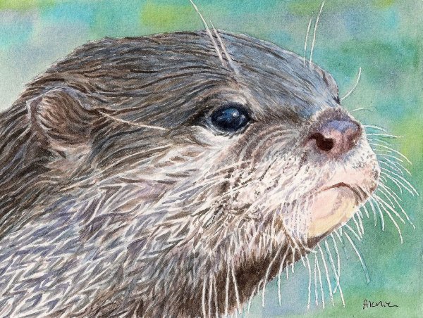 Выдра стилизация