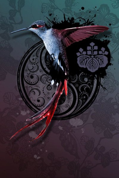 Колибри арты