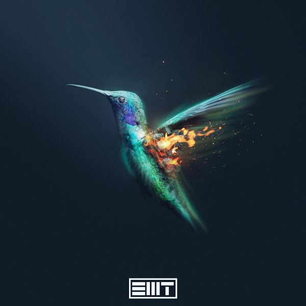 Колибри арт