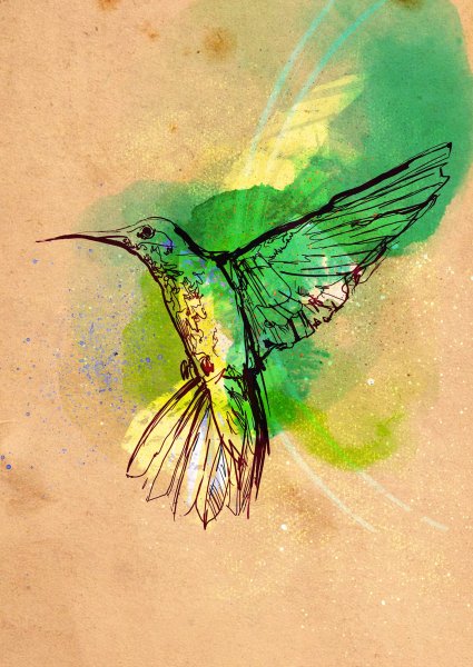 Колибри арт