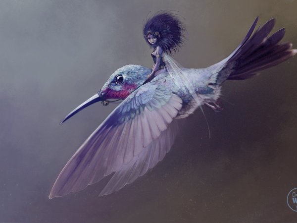 Фея на птице