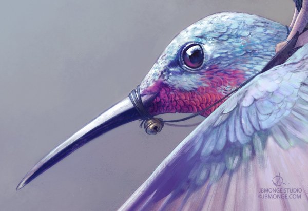 Космическая Колибри