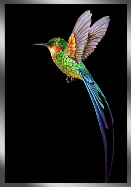 Черный якобинский Колибри