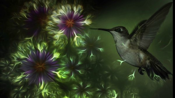 Колибри фэнтези