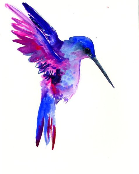 Акварельные птички на белом фоне