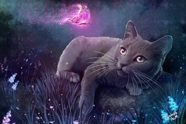 Волшебные кошки