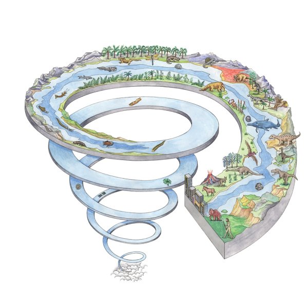 Спираль развития земли