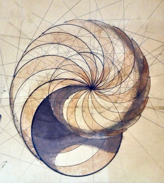 Золотая спираль спираль Фибоначчи