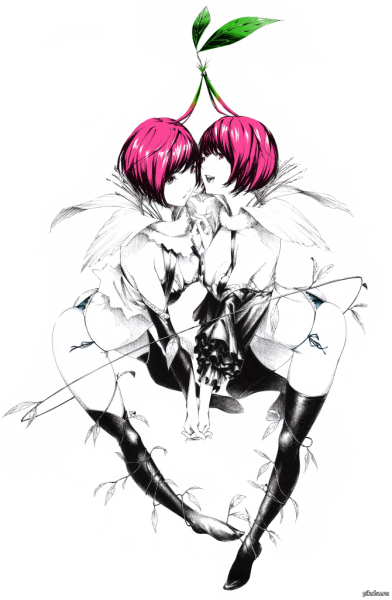 Хуманизация вишни