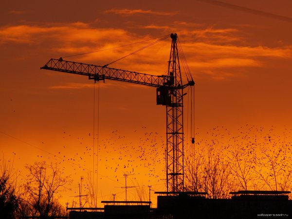 Кран строительный