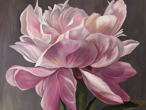 Пионы Marianne Broome