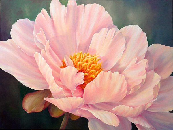 Пионы Marianne Broome