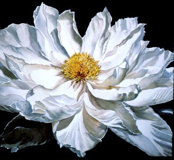 Художник Alfred ng