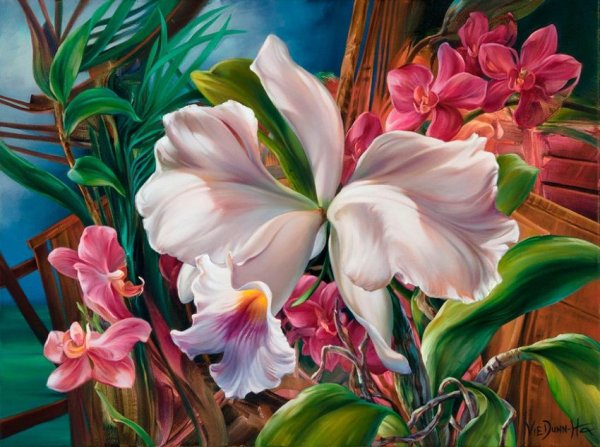 Художник ви Данн-Харр (vie Dunn-Harr)