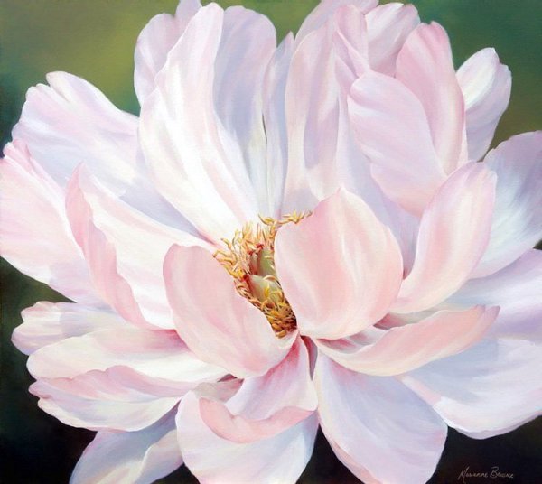 Пионы Marianne Broome