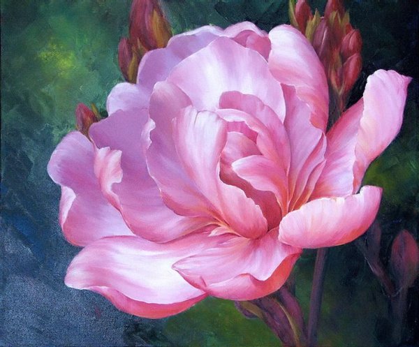 Пионы Marianne Broome