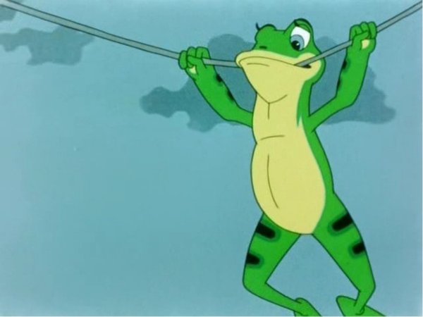 Лягушка из сказки Гаршина лягушка путешественница