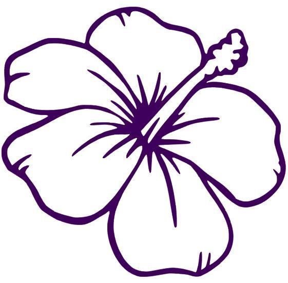Гавайские цветы трафарет