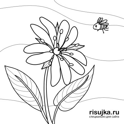 Раскраски цветы и пчелы (36 фото)
