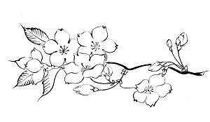 Цветущая ветка яблони раскраска