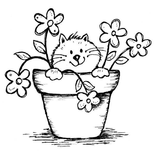 Раскраска котик с цветами